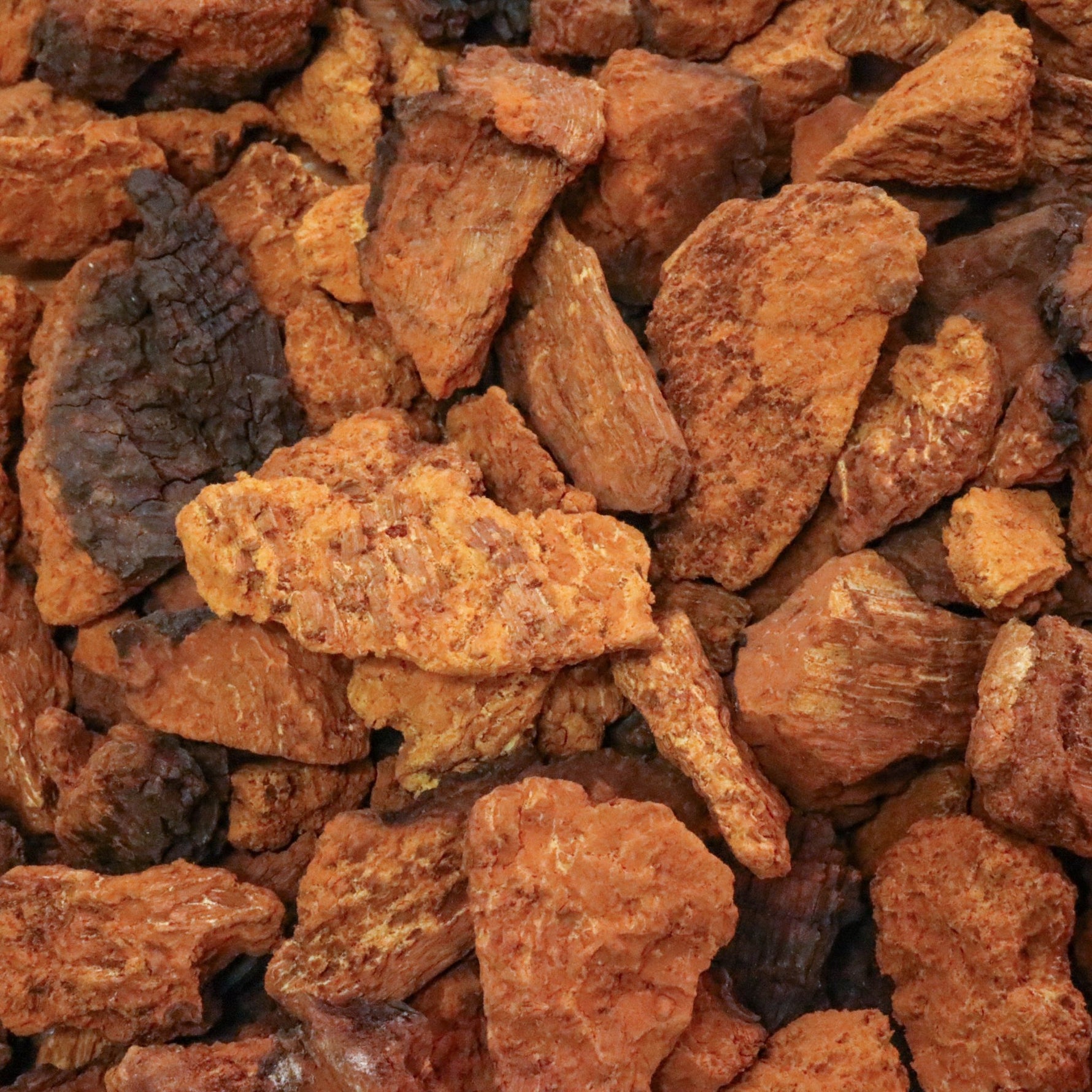 Organic Wild Crafted Chaga Chunks - Two Hills Tea