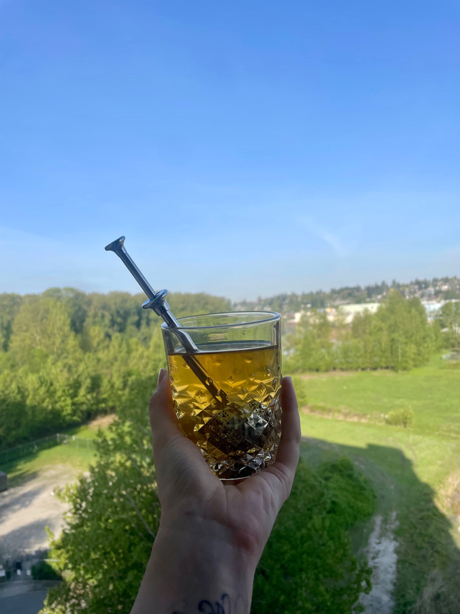 Stainless Steel Spring Loaded Tea Infuser