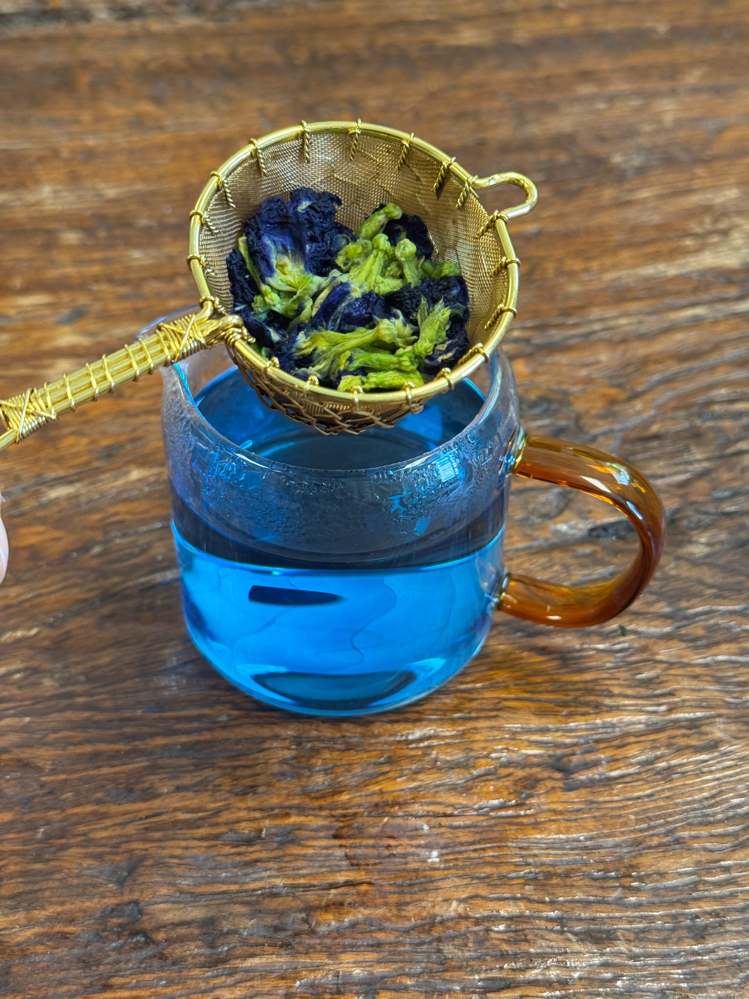 Whole butterfly pea flowers above a cup of vibrant blue butterfly pea tea, organic herbal infusion with natural color-changing properties.