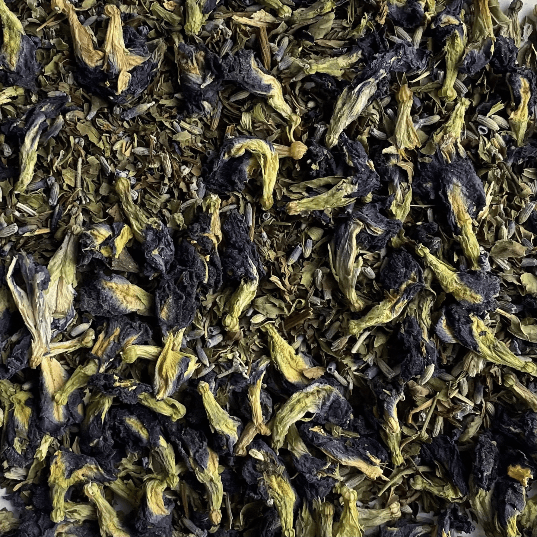 Dream - Butterfly Pea Flower, Lavender, Mint Blend - Two Hills Tea