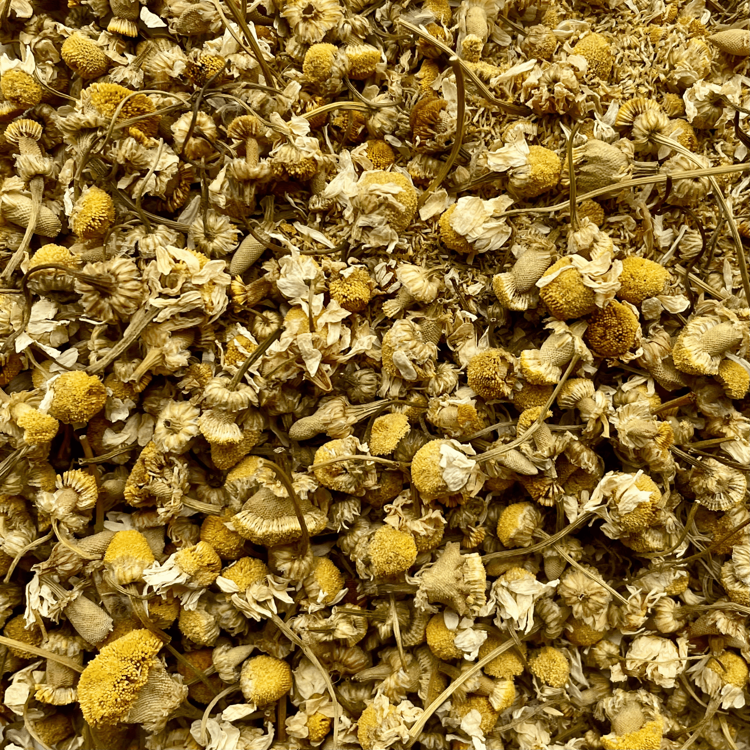 Organic Chamomile (Egyptian) - Two Hills Tea