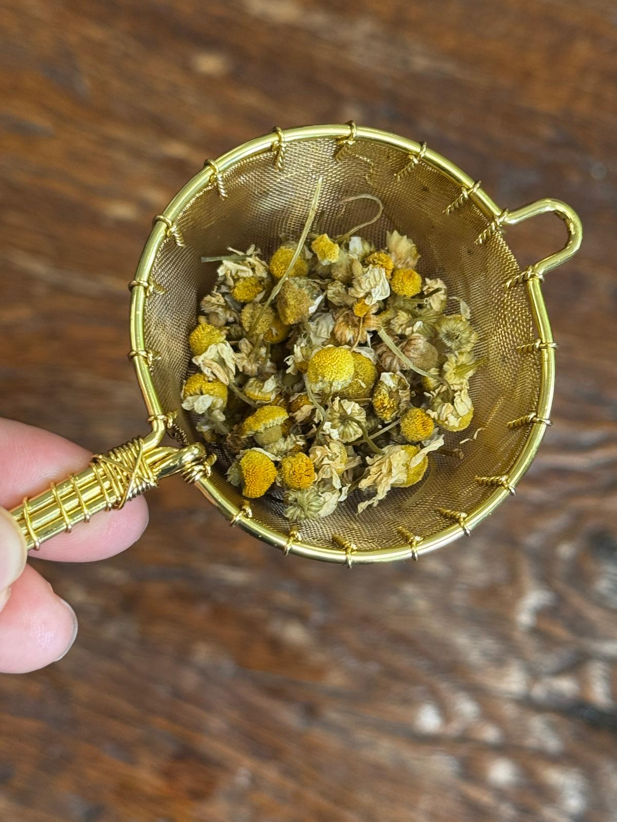 Organic Chamomile (Egyptian) - Two Hills Tea