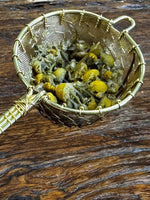 Organic Chamomile (Egyptian) - Two Hills Tea