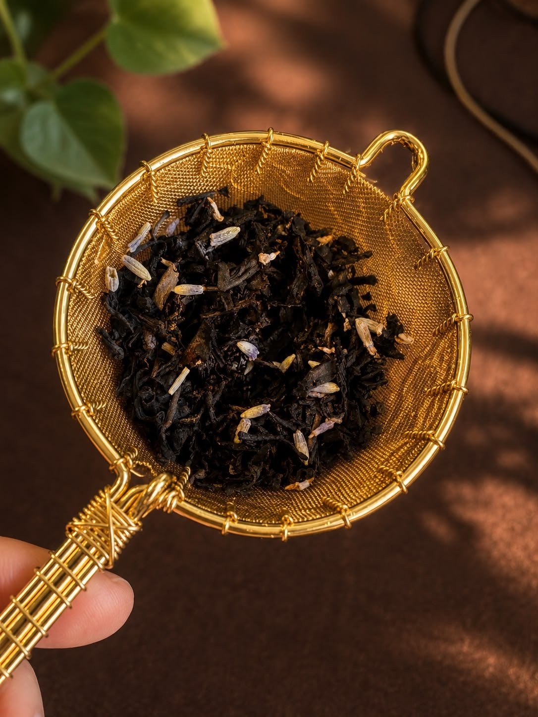 Organic Earl Grey Lavender - Two Hills Tea