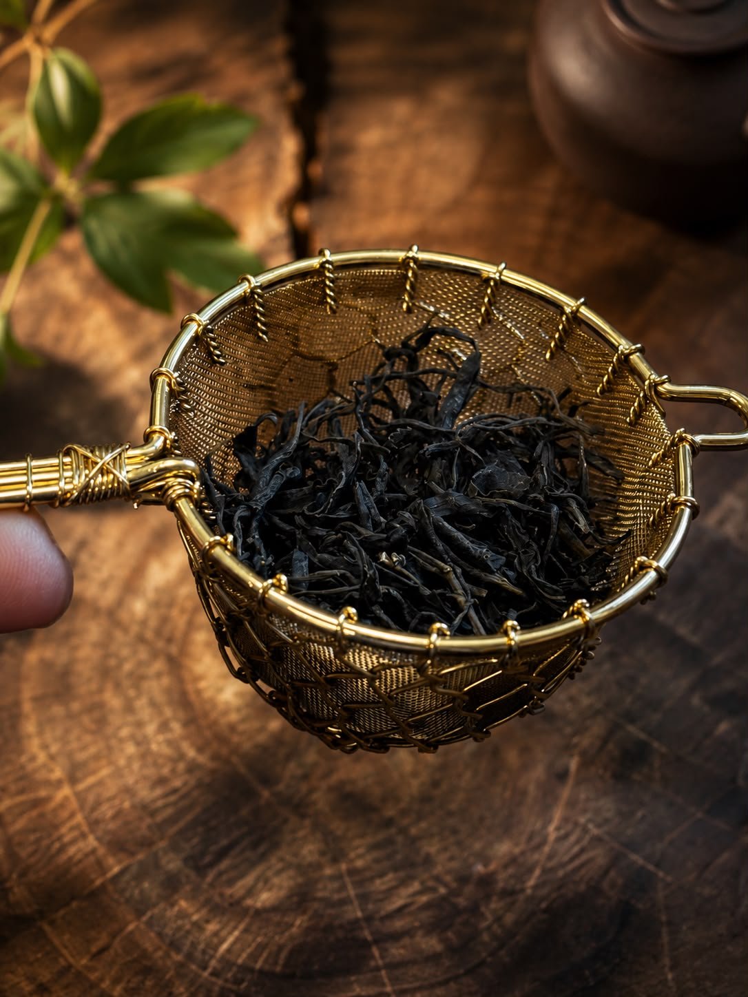 Organic Emerald Cloud / Wu Lu - Two Hills Tea