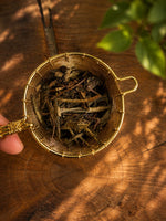 Organic Hojicha - Two Hills Tea