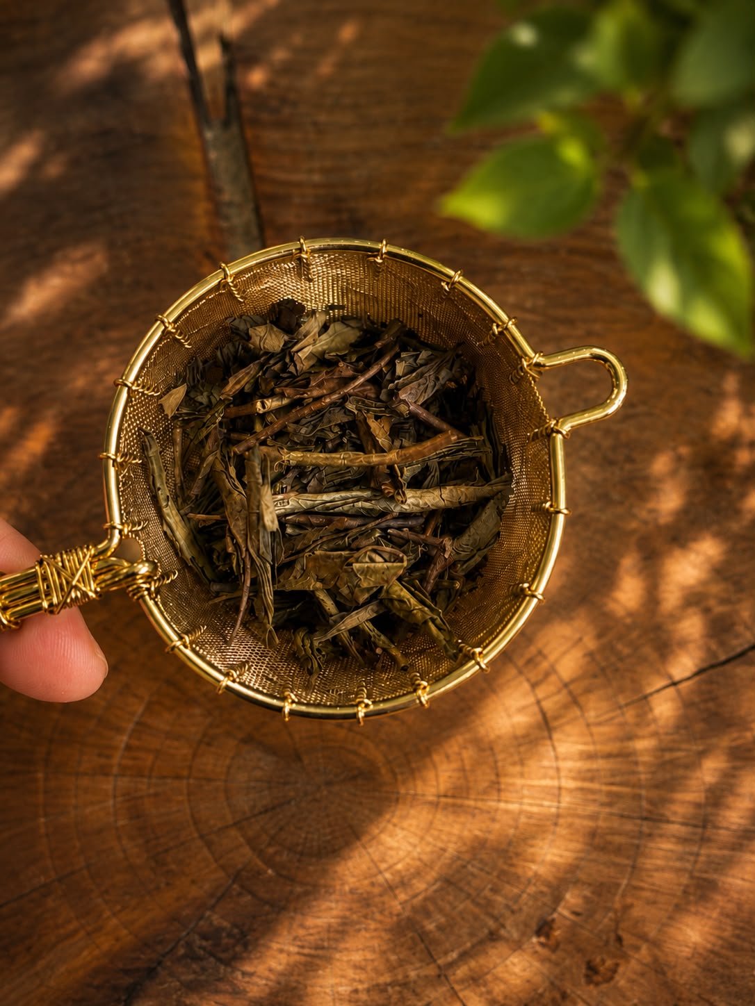 Organic Hojicha - Two Hills Tea