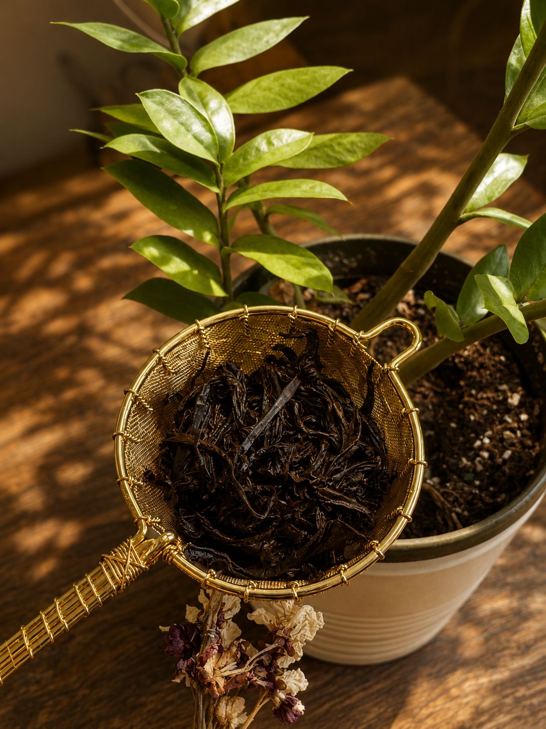 Organic Lapsang Souchong - Two Hills Tea