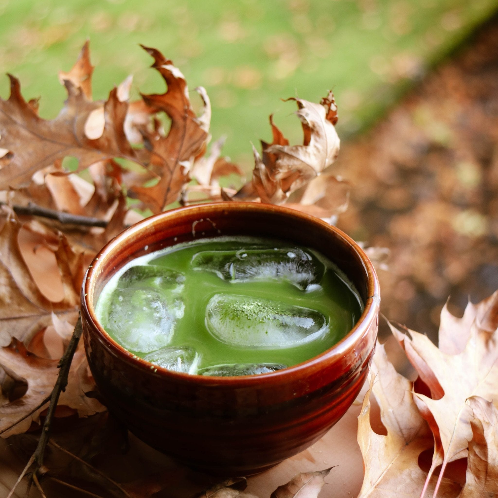 Organic Premium Jeju Matcha Two Hills Tea