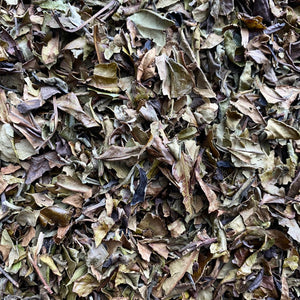 Organic White Tea #2 (Huang Shan) - Two Hills Tea