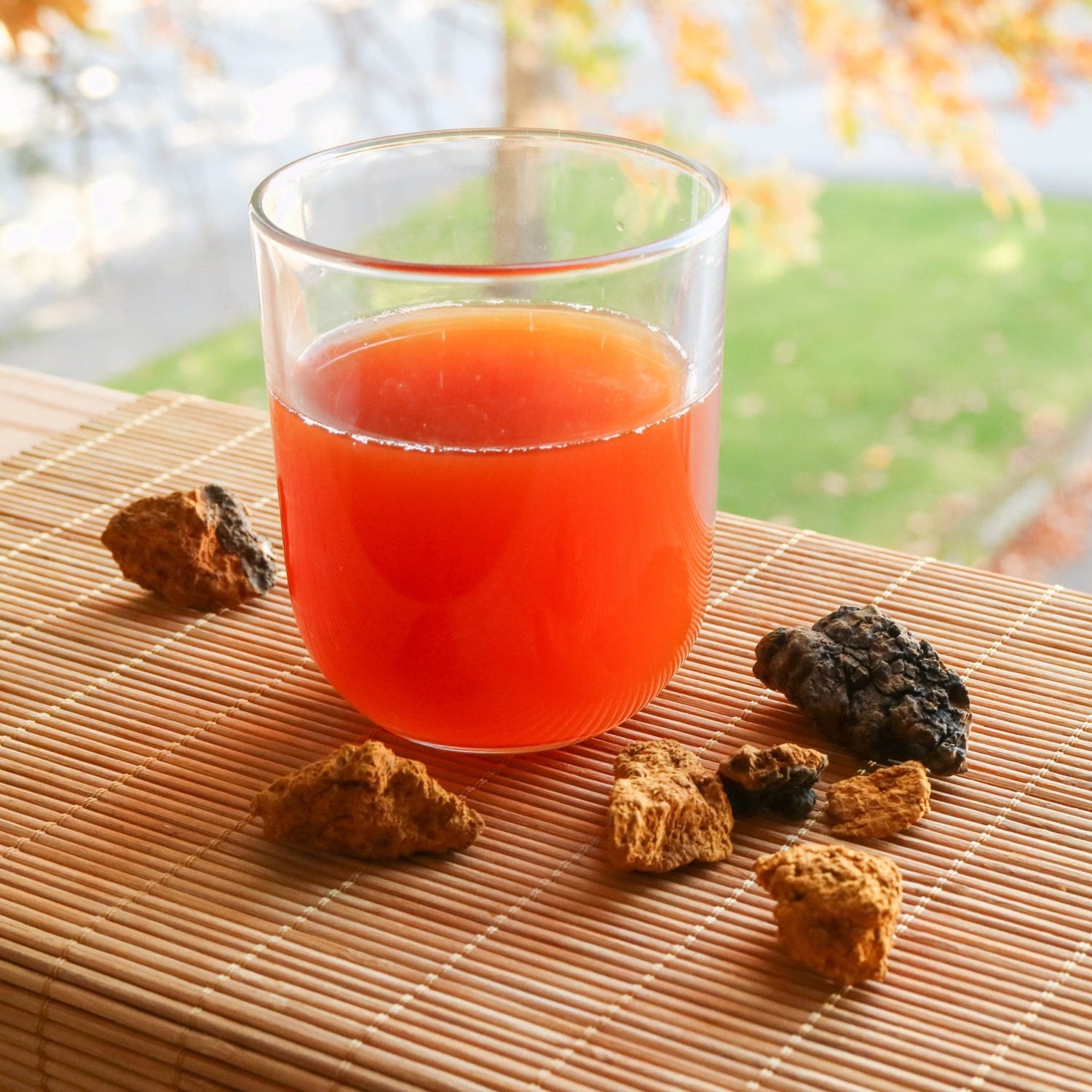 Organic Wild Crafted Chaga Chunks - Two Hills Tea