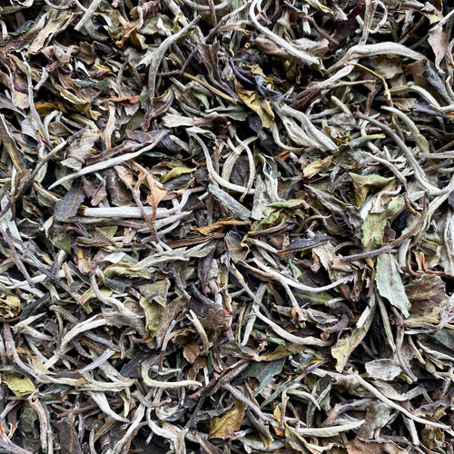 Organic Yunnan White - Two Hills Tea